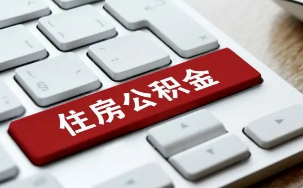 哈尔滨离职当天可以取公积金吗（离职当天公积金会立即停掉吗）